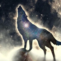 sói ErR0r cô độc