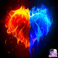 hacker rey cô độc