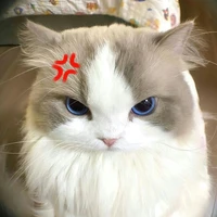 Tác Giả