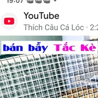bán bẫy tắc kè