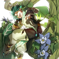 Leaf - Thorn - Timber