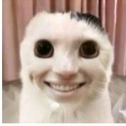 t/g ( có cây cà lem 20cm)