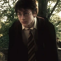 Harry Potter