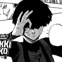 niko ikki
