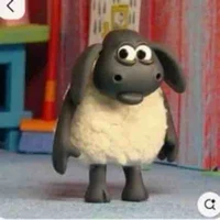 coan t/g bay tới đâyyy(Bối)