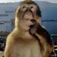 @Motepskibidi.Yeucaccaunhieu