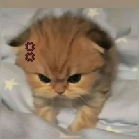 Tongdaitongvesinhthanhpho:)