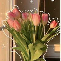 Tất cả( trong phạm vi gần)