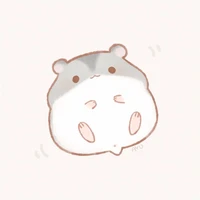 Hamster cải chíp- Thú cưng của Phan Tuân