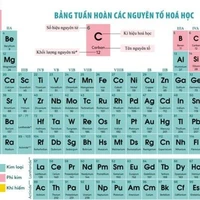 Tác giả