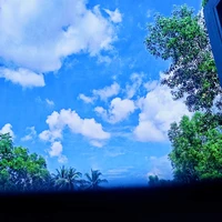 đa nhân vật