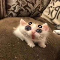 tg này hai mặt