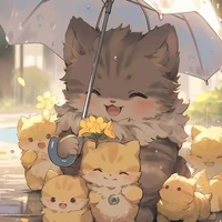 Author_Role