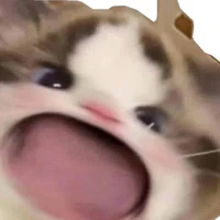Tác Giả