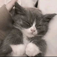 Bò (Piee) 🥰🥰🥰