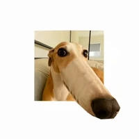 tg