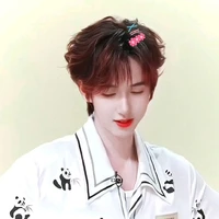 Hạ Tuấn Lâm