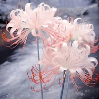 mn trong nhà (trừ ai thì trừ)