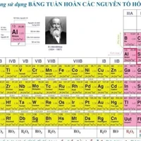 cân mọi loại vai