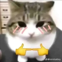 hệ thống 021(yuri)