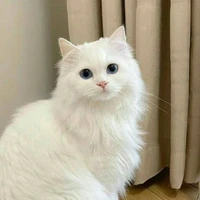 Hệ Thống D0081 — Solene.