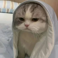 hệ thống sai đẹp chiêu