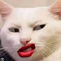 cô sinh