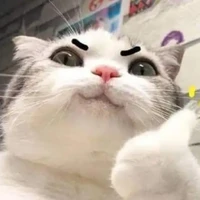 2 lửa chùa