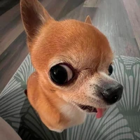 @b/n_o_o