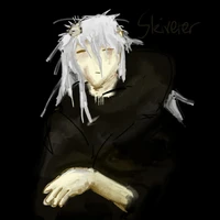 Skiveter Auzuki