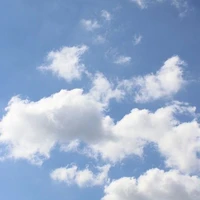 all