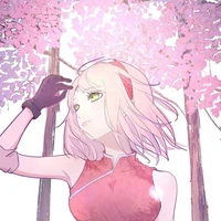 Sakura tuổi 16
