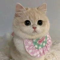 hệ thống (tiểu yao)