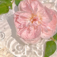 All