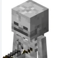 skelly