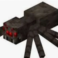 spider