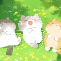 Hệ Thống Cute Hột Me