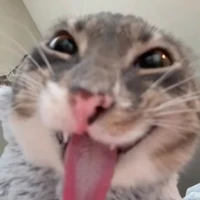 iu toán nên bía gi seo☺️😋💗