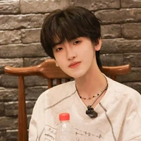 Tả kỳ Hàm