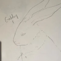 Gubby
