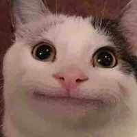 Sai Đẹp Triêu(t/g)