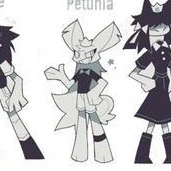 petunia
