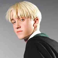 Draco mafloy
