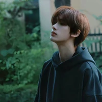 Đinh trình hâm