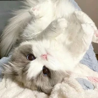 NGÔI ĐỀN CỦA CONGB