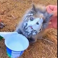 All《trừ ai thì trừ》