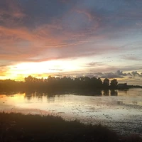 all trừ ai cũng đc