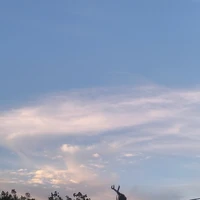nv nữ