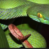 học sinh ở dưới 