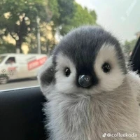 tg nhạt nhẽo 😑